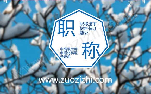 中高级职称申报材料组卷要求