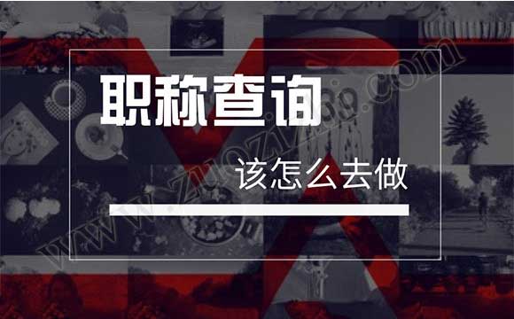 工程师证在哪里查询