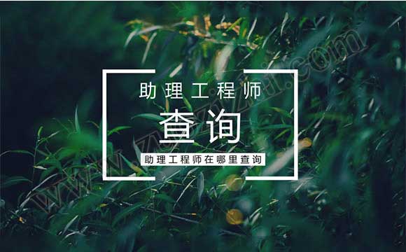 助理工程师在哪里查询