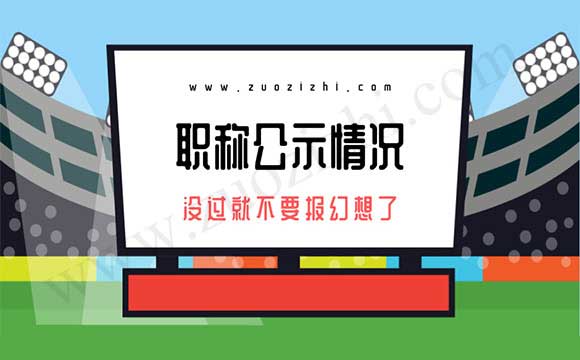 申报职称公示