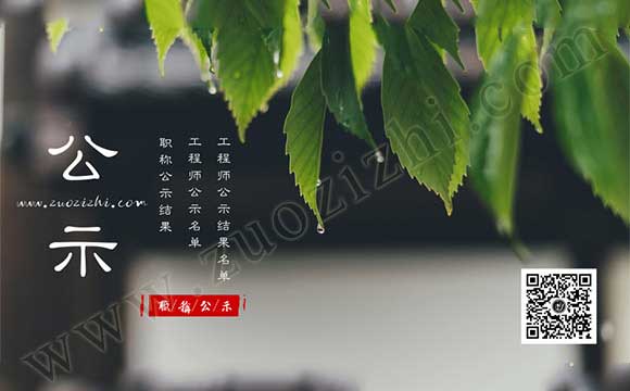 工程师公示结果名单