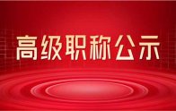 2022年河北省：建材工程专业申请职称高级评审结果