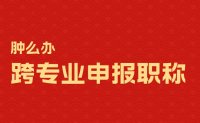 本科，土木工程专业毕业，现在从事计算机工作，怎么评职称？