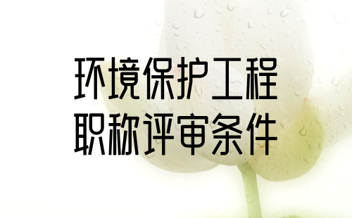 2024年申报职称证书：环境保护工程系列环境保护及评价工程技术专业正高级职