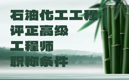 2024石油化工工程评正高级工程师职称条件：石油与石油炼制专业评审工程师