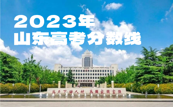 2022年山东高考分数线