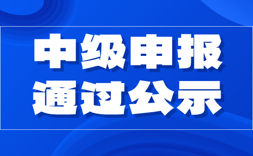 申报通过公示